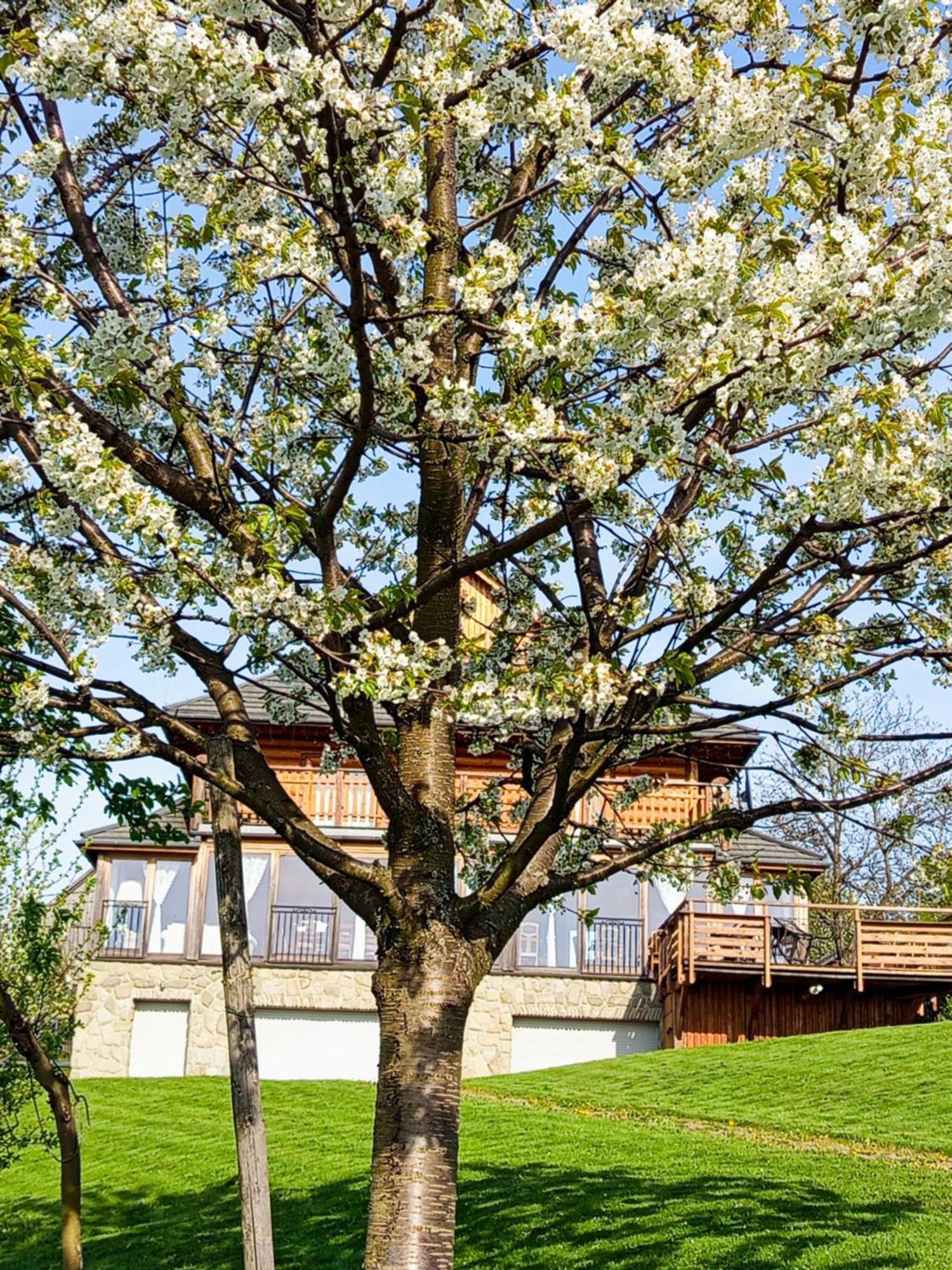 Bed & Breakfast Dom Na Rozcesciu
